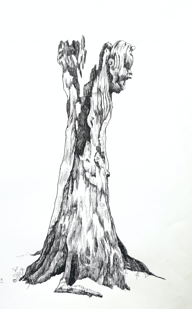 boom Duinvliet 1 | 2022 | 50 bij 65 cm | Oost-Indische inkt